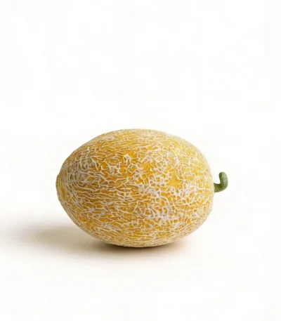 Dinette Table Centerpieces Cantaloupe front view