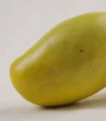 Modern Coastal Decor Ceramic Mango Side detail view