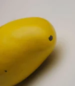 Modern Coastal Decor Ceramic Mango Side detail view 01