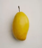 Modern Coastal Decor Ceramic Mango front view 01
