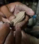 Rustic Farmhouse Decor Ceramic Peanuts Close-up of hand-carved details 03