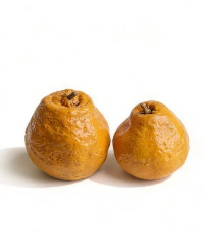 Mid Century Modern Decor Ceramic Tangerine front view