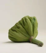 Modern Farmhouse Decor Authentic Artisan Lotus Pod - Image 5