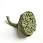Modern Farmhouse Decor Lotus Pod front view