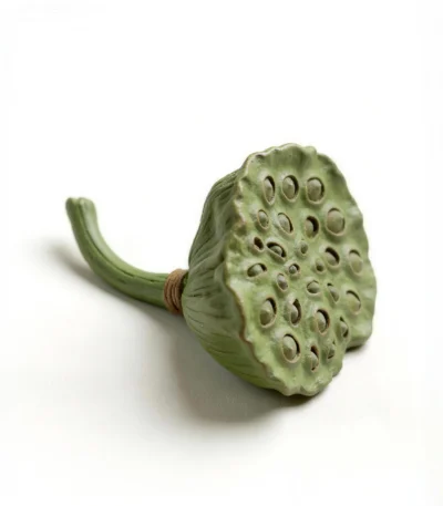 Modern Farmhouse Decor Lotus Pod front view