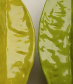 Modern Decor - Macro of the hand-carved ridges on a ceramic starfruit o3