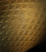 Sake Cup Close-up view of the dragon-scale texture on the golden cup body
