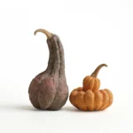 Ceramic Pumpkins Sculpture – Stunning Lifelike Fall Table Decor