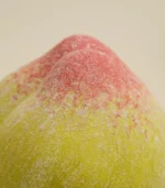 coffee table decor ideas-Close-up of the red-to-green gradient on a porcelain peach