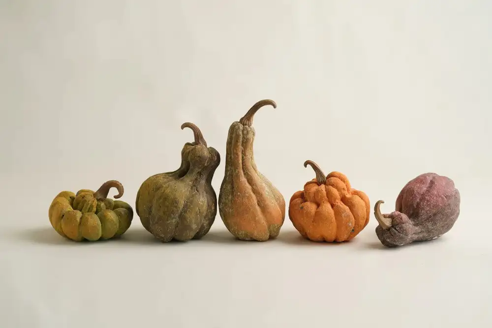 Finished image of a handmade ceramic pumpkins 01