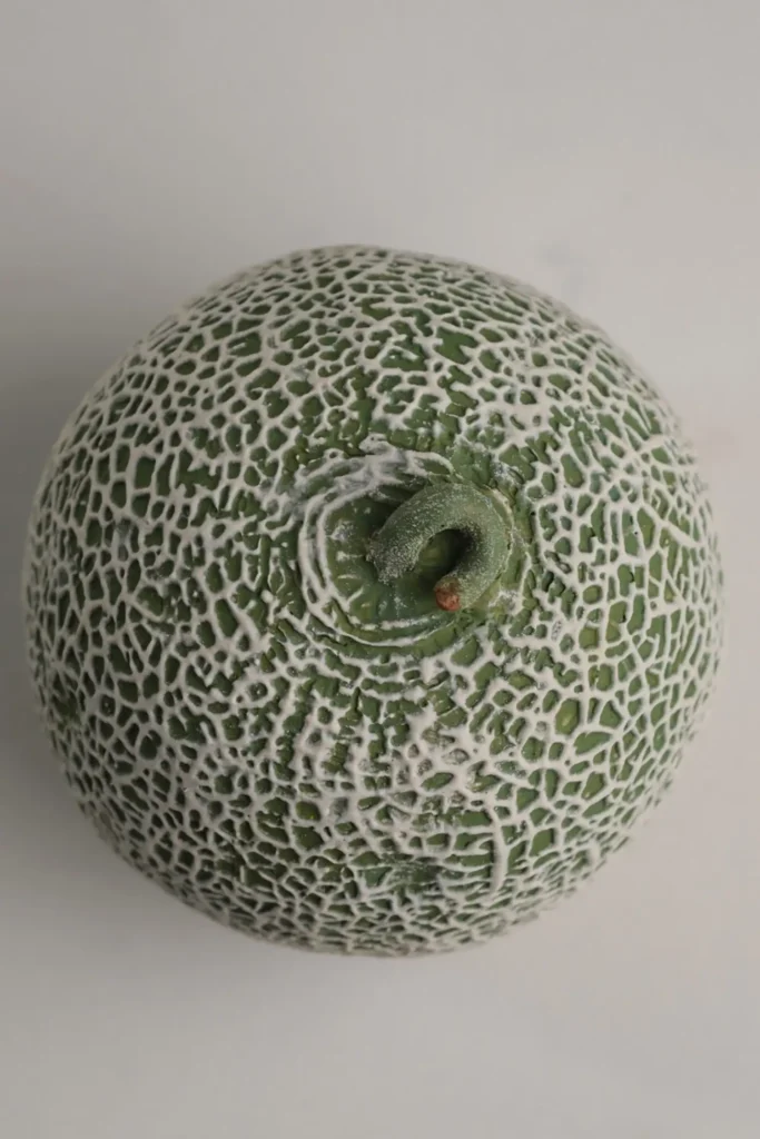 Dinette Table Centerpieces Cantaloupe Close-up of top surface texture 01