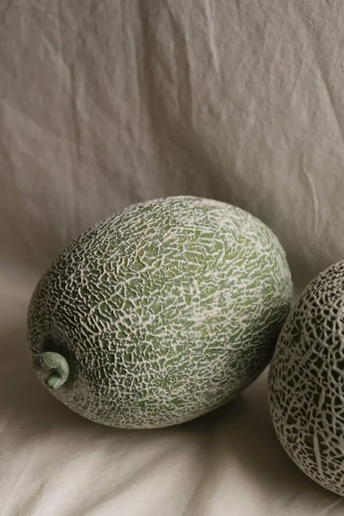 Dinette Table Centerpieces Cantaloupe Close-up of side texture details 03