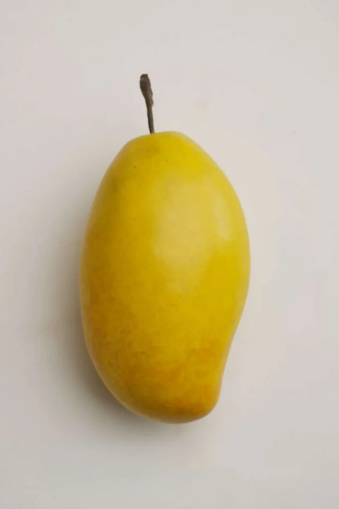 Modern Coastal Decor Ceramic Mango front view 03