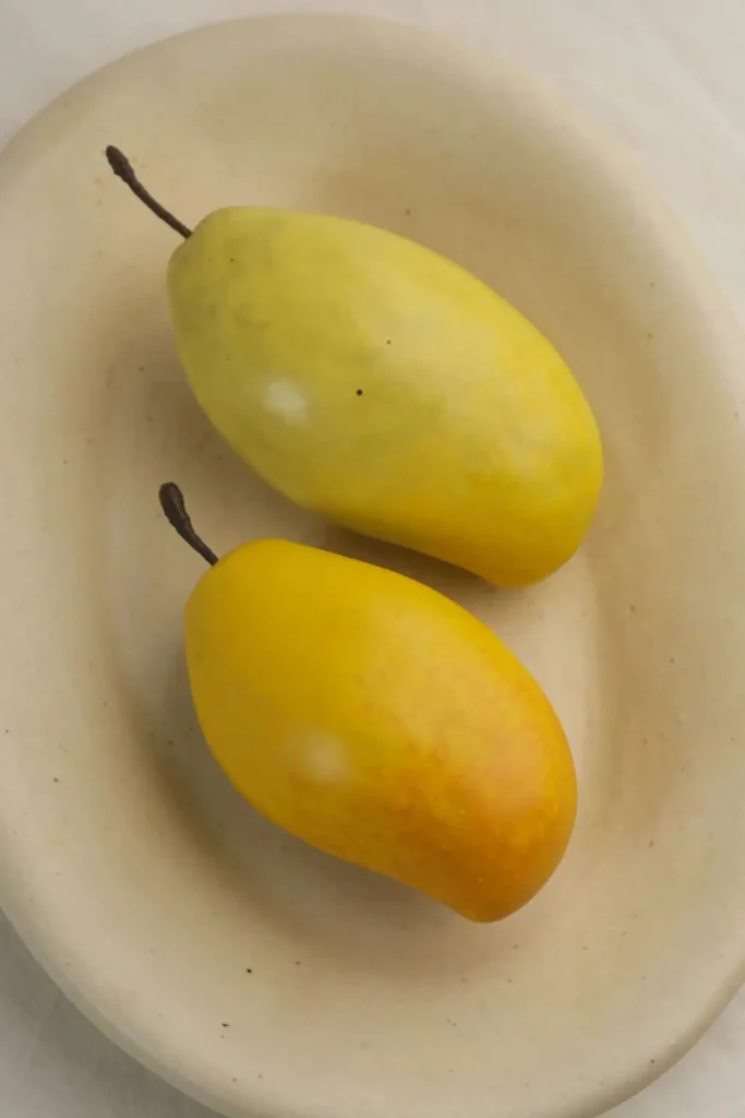Modern Coastal Decor Ceramic Mango front view 04