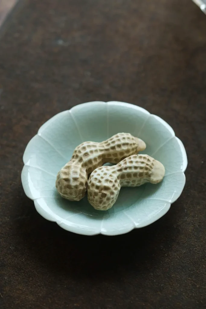 Rustic Farmhouse Decor Ceramic Peanuts 05