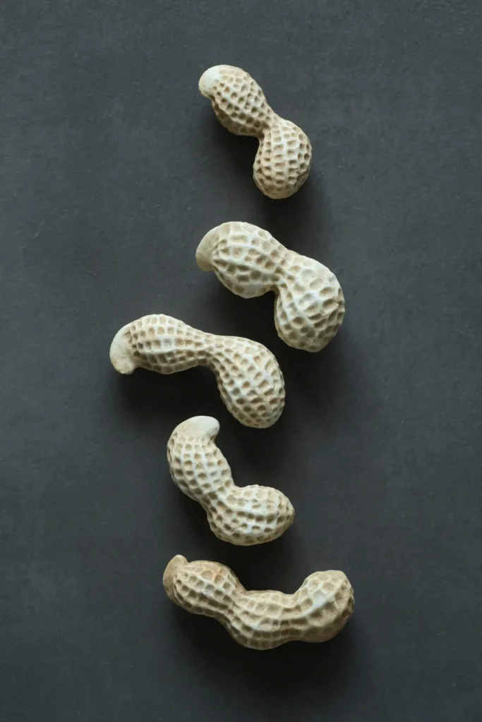 Rustic Farmhouse Decor Ceramic Peanuts 06