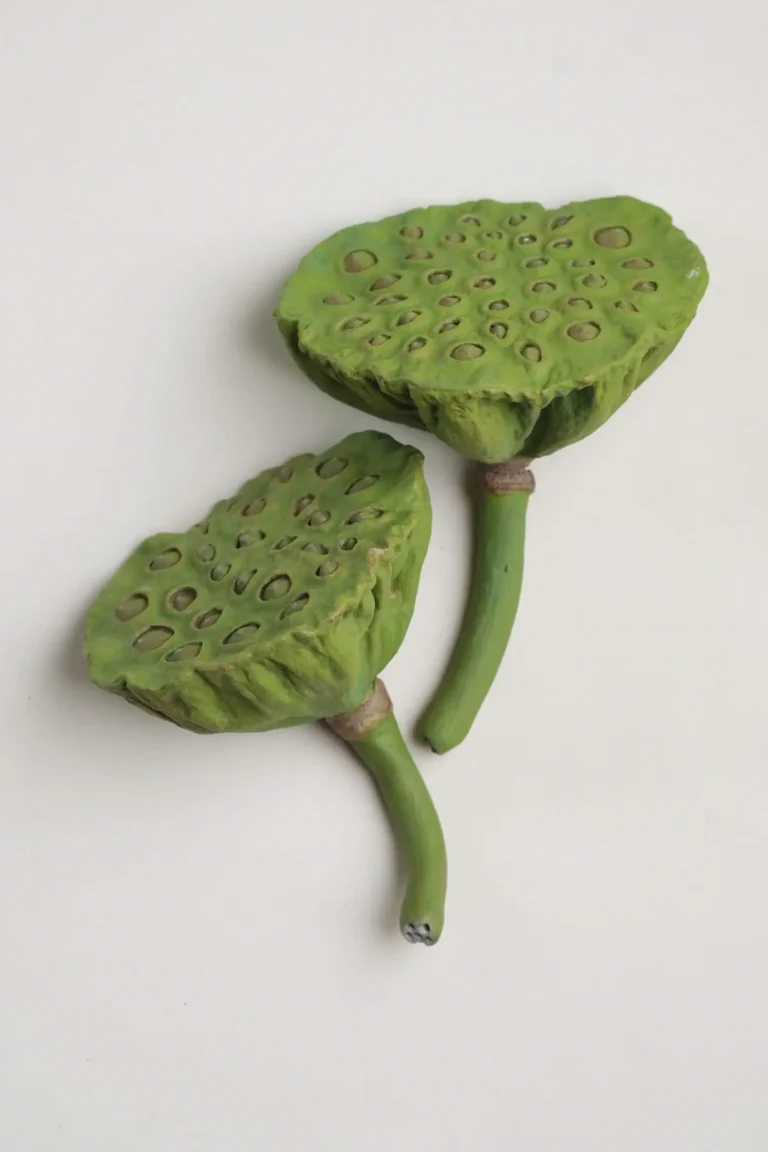 Modern Farmhouse Decor Two Lotus Pod ornaments