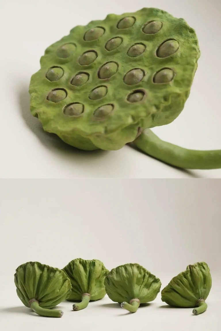 Modern Farmhouse Decor Lotus Pod front view 02