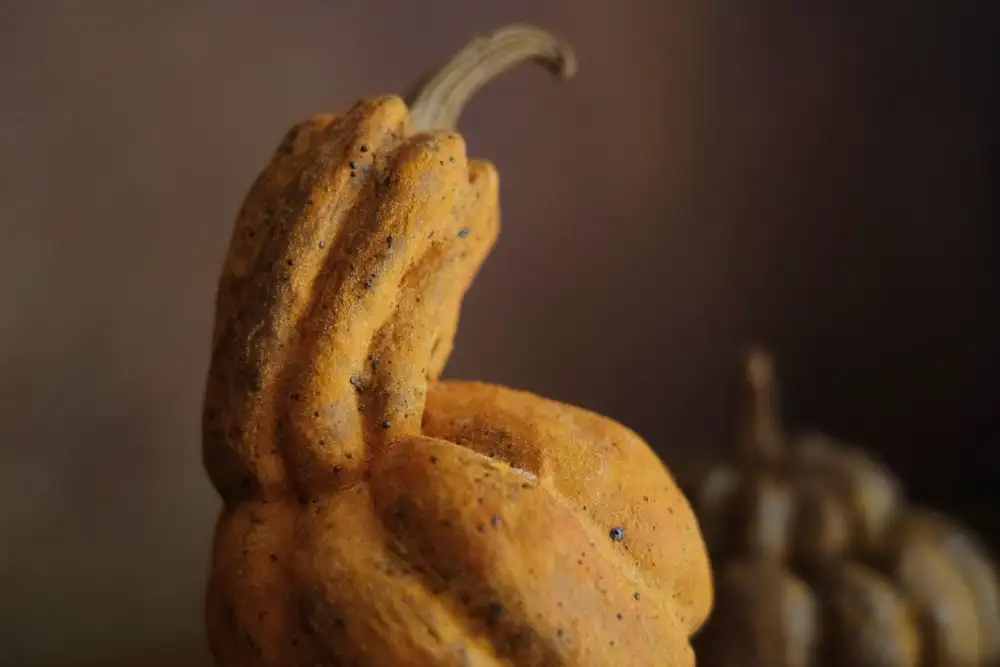 handmade ceramic pumpkin texture detail image